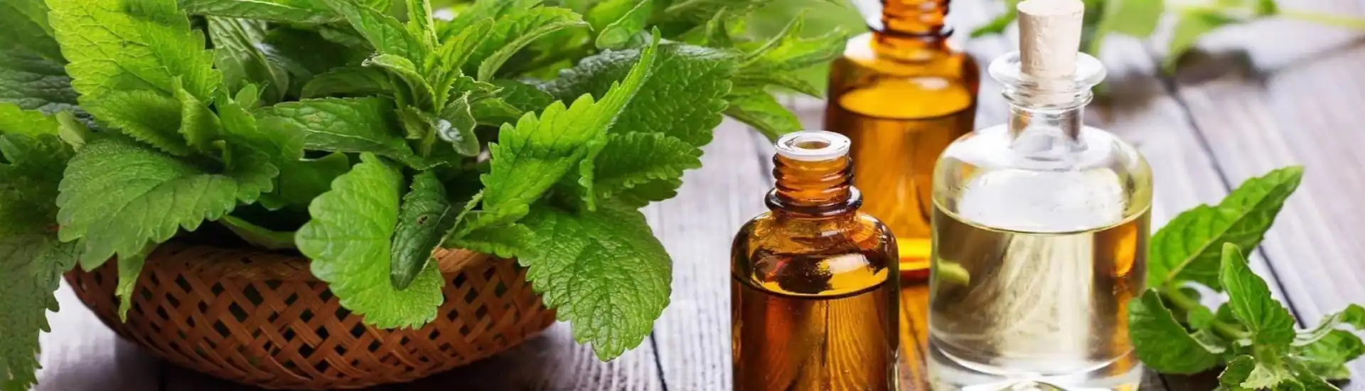 Menthol And <br> Mint Oils