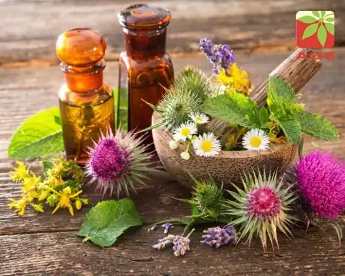 Essential Oils for Itching