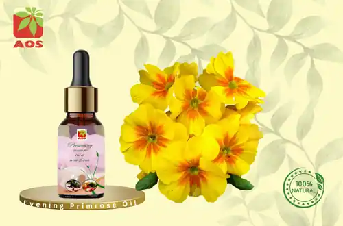 Evening Primrose Oil