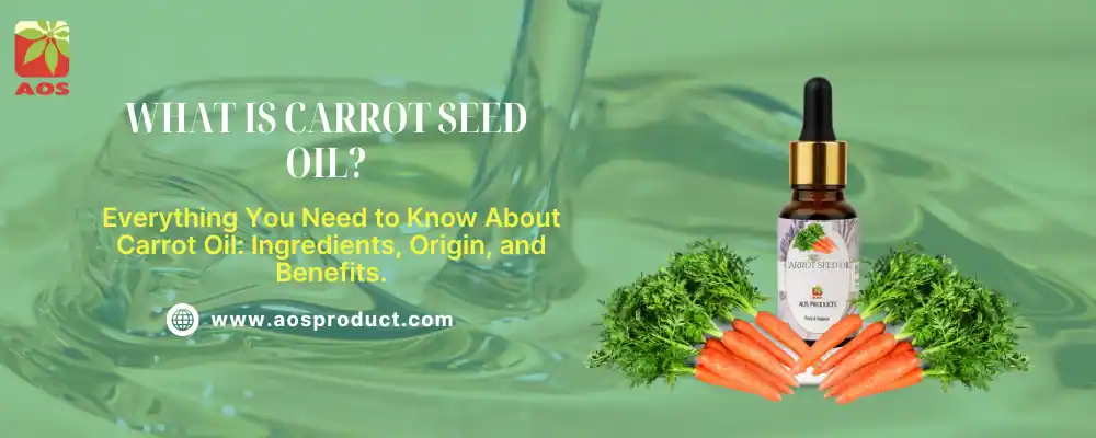 What is Carrot Seed Oil