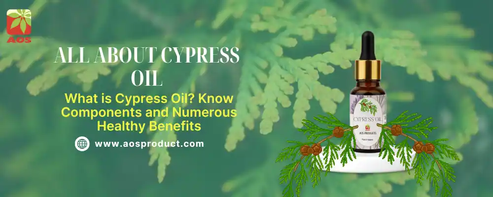 All About Cypress Oil