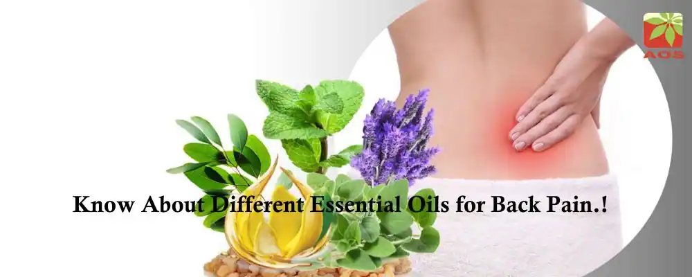 Essential Oils for Back Pain