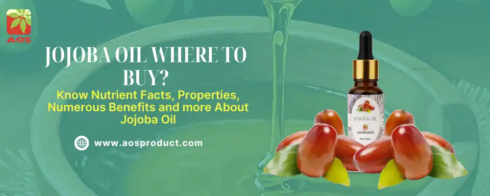 Jojoba Oil Where to Buy