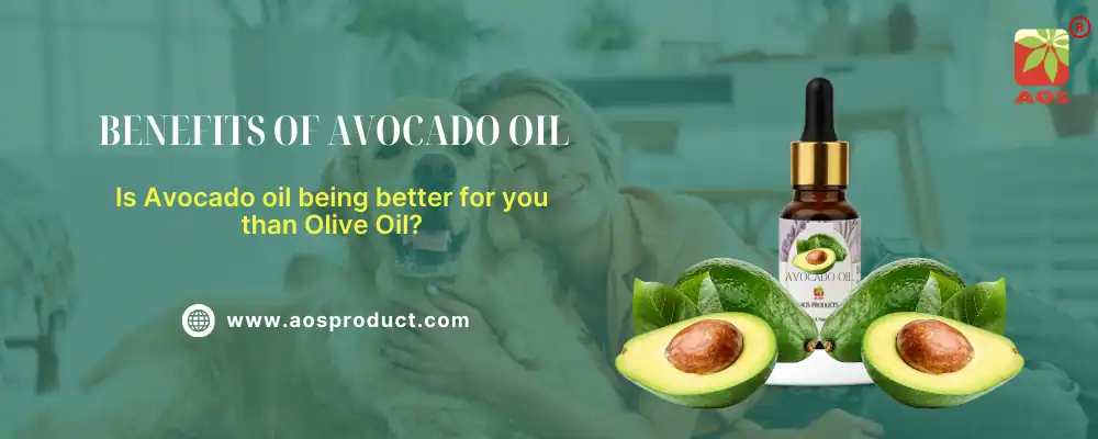 Benefits of Avocado Oil