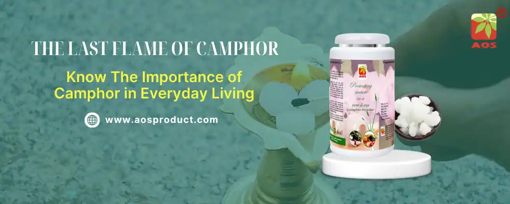 The Last Flame of Camphor