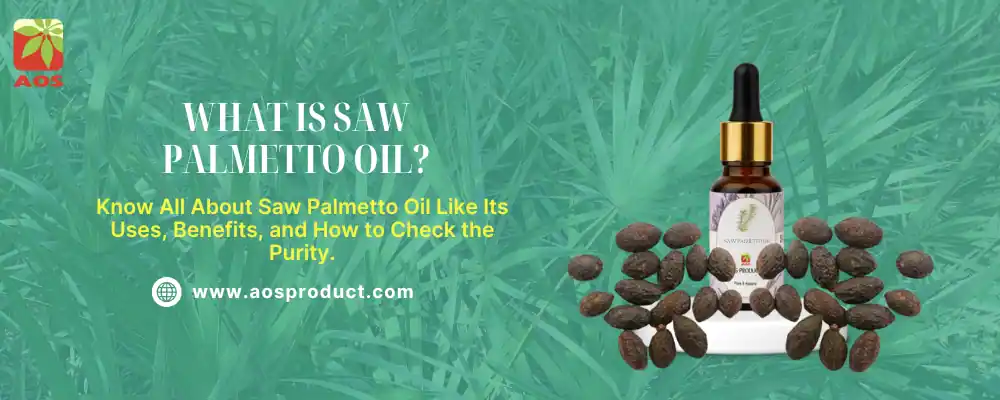 What is Saw Palmetto Oil