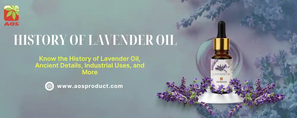 History of Lavender Oil
