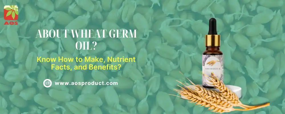 Learn More about Wheat Germ Oil