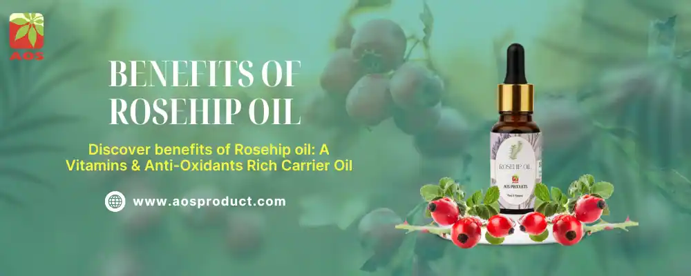 Rosehip Oil for Skincare and Healing