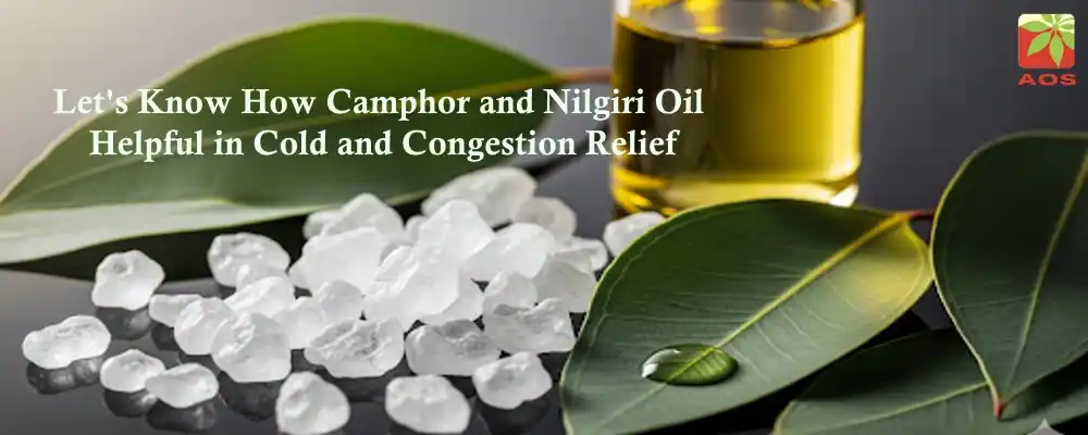 Camphor and Nilgiri Oil for Cough and Cold