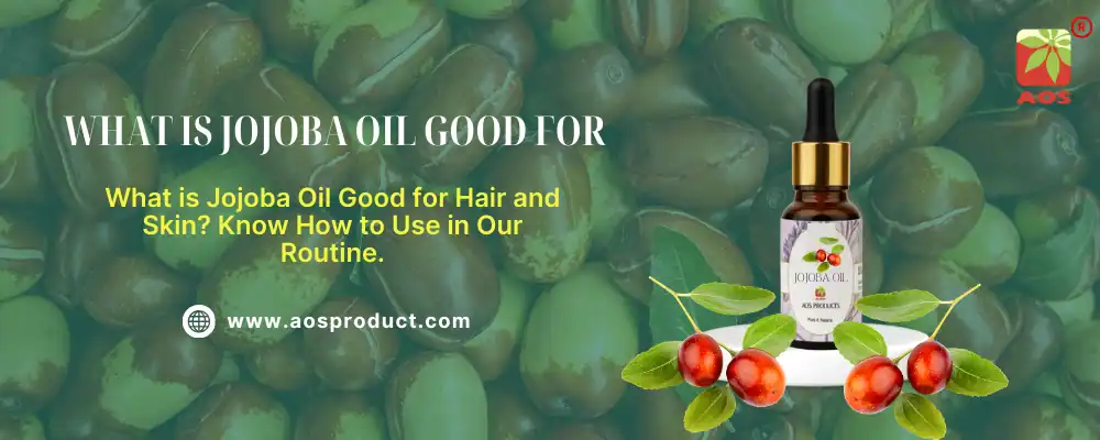 What is Jojoba Oil Good for