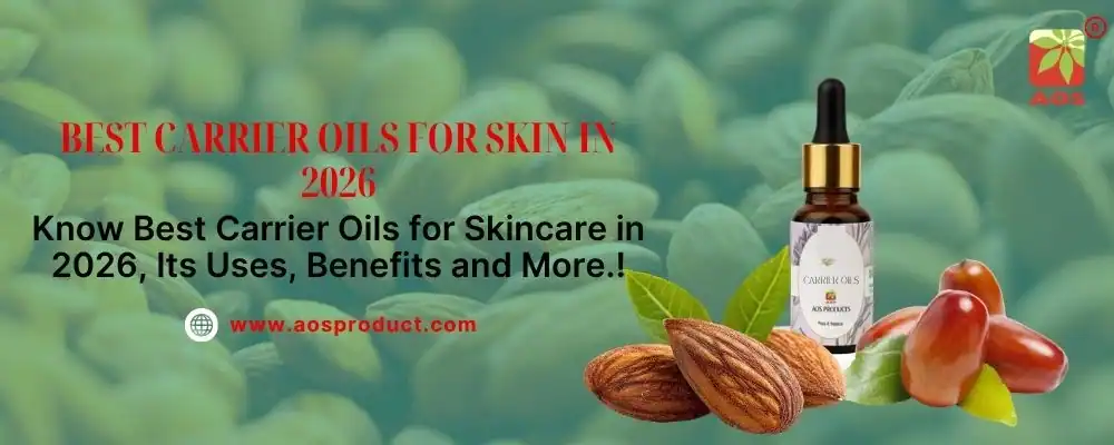 Best Carrier Oils for Skin in 2026