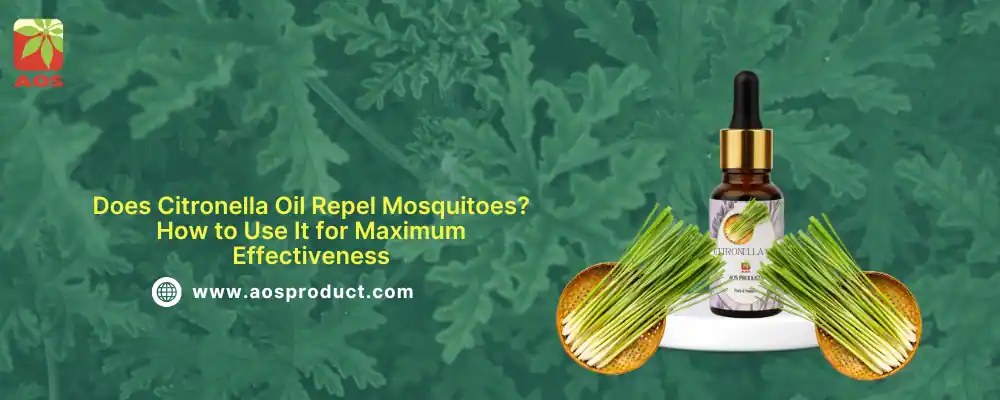 Citronella Oil for Mosquito