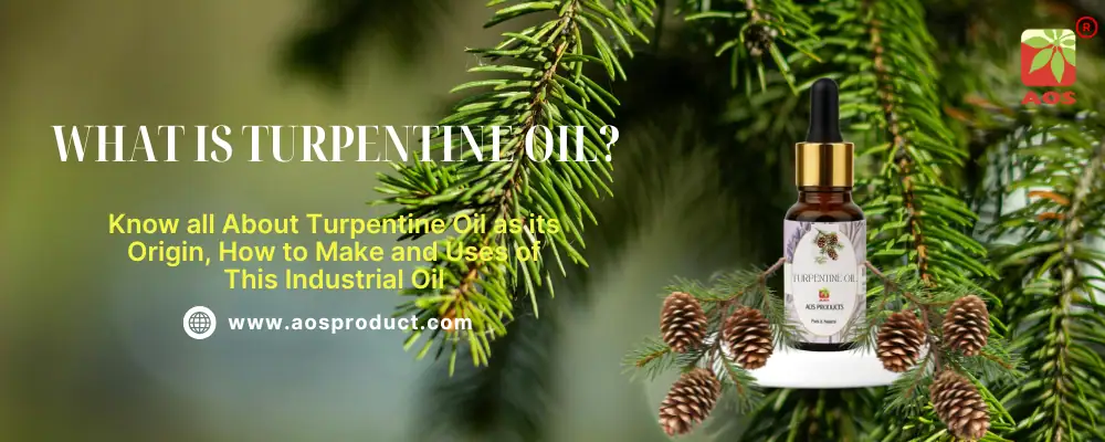 What is Turpentine Oil