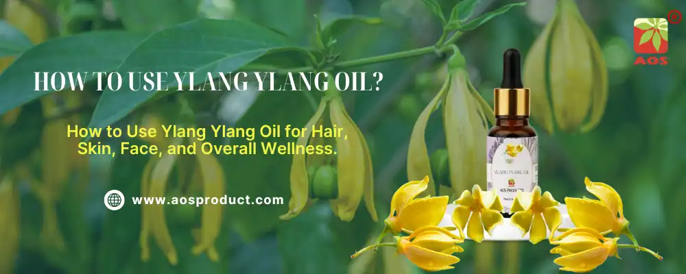 How to Use Ylang Ylang Oil