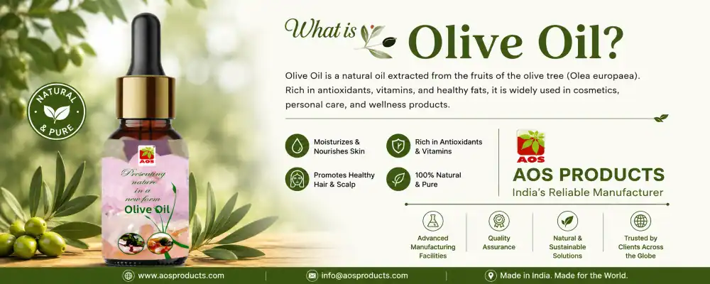 What is Olive Oil