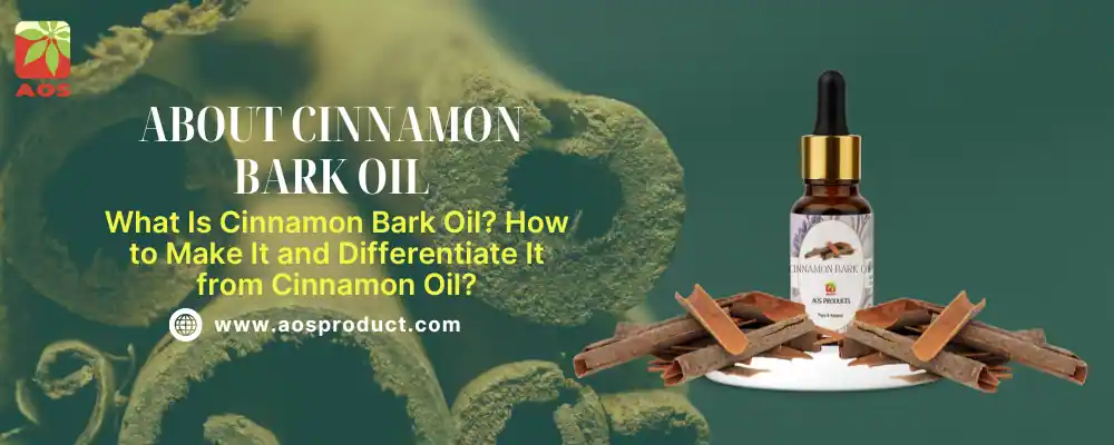 About Cinnamon Bark Oil