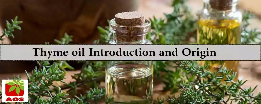 What is Thyme Oil