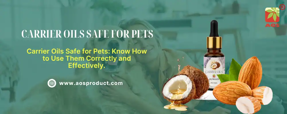 Carrier Oils Safe for Pets