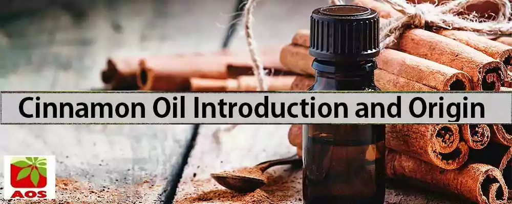 What is Cinnamon Oil