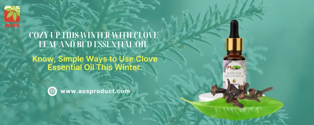 Cozy Up This Winter with Clove Leaf and Bud Essential Oil