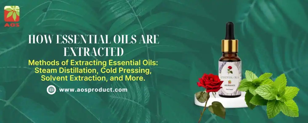 How Essential Oils Are Extracted