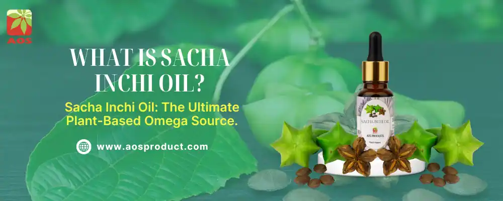 What is Sacha Inchi Oil