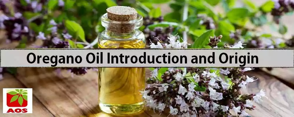 What is Oregano Oil
