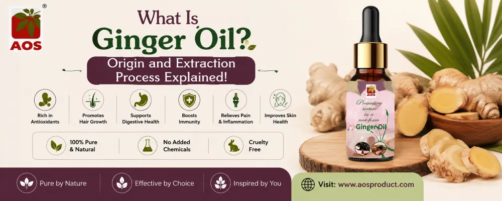 What is Ginger Oil