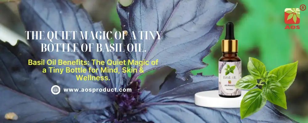 The Quiet Magic of a Tiny Bottle Basil Oil