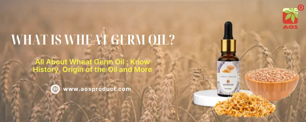What is Wheat Germ Oil