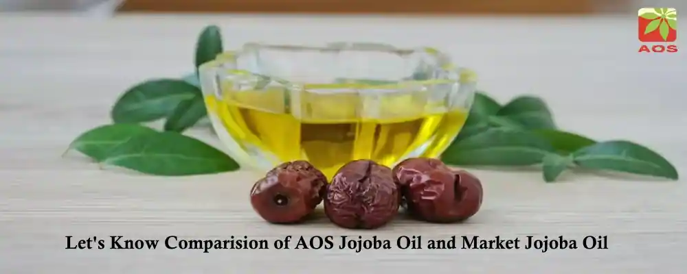 AOS Jojoba Oil Vs Market Jojoba Oil