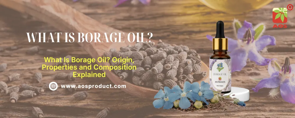 What is Borage Oil