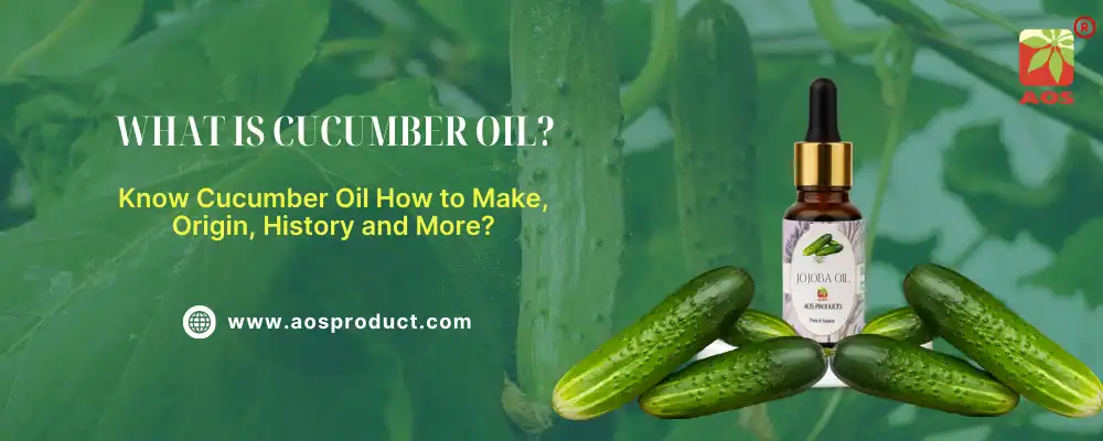 What is Cucumber Oil