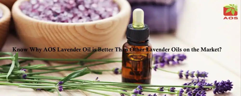 AOS Lavender Oil Vs Market Lavender Oil