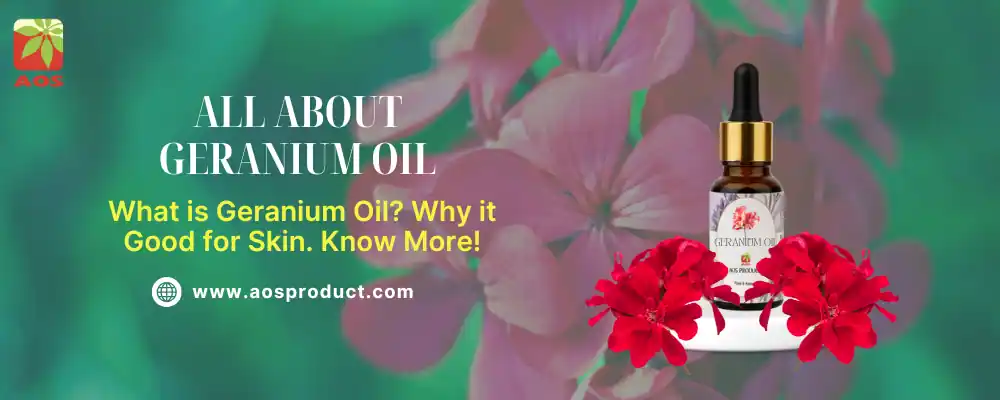 All About Geranium Oil