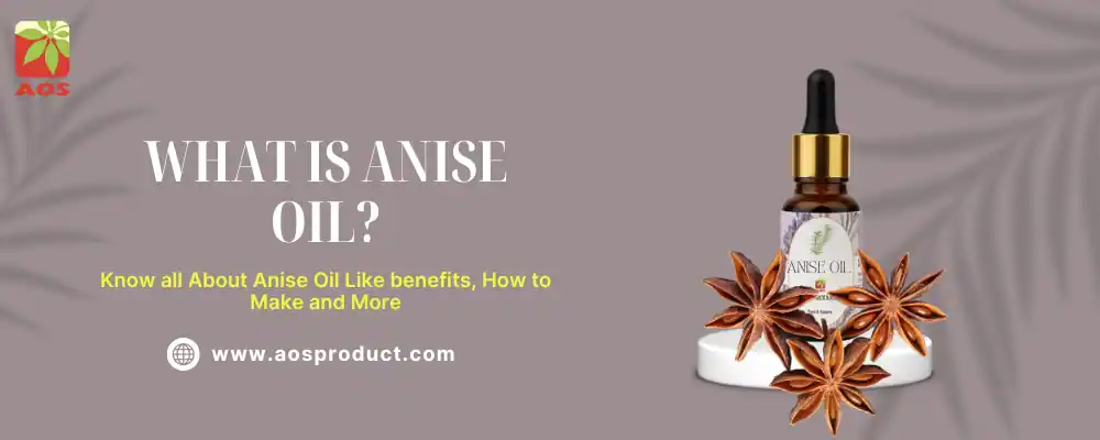 What is Anise Oil