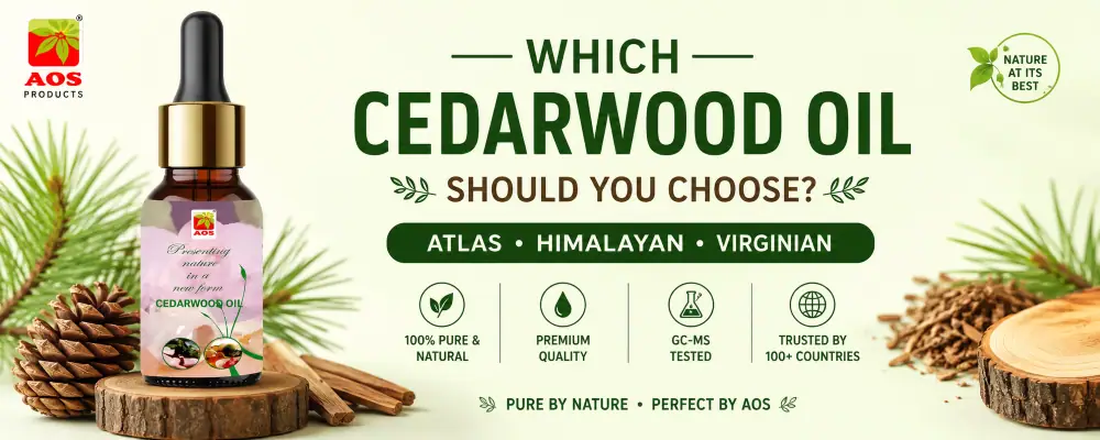Which Cedarwood Oil Should You Choose