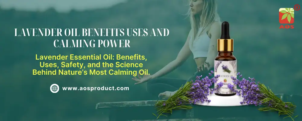 Lavender Essential Oil Benefits Uses and Calming Power