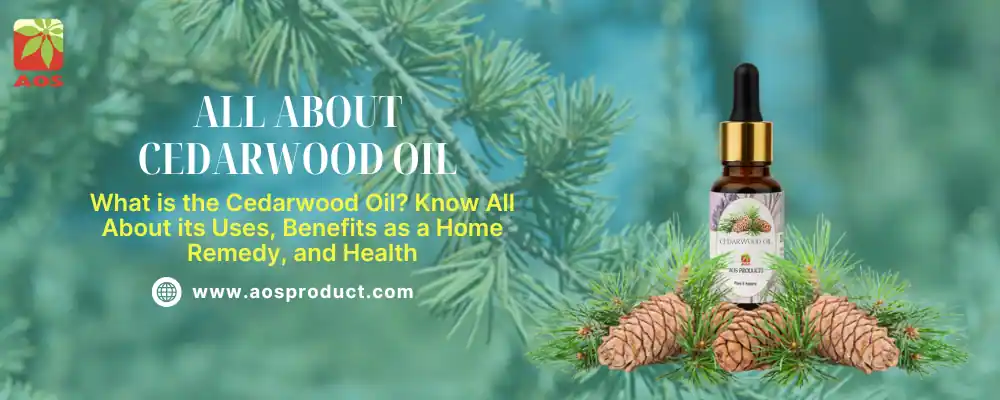 All About Cedarwood Oil
