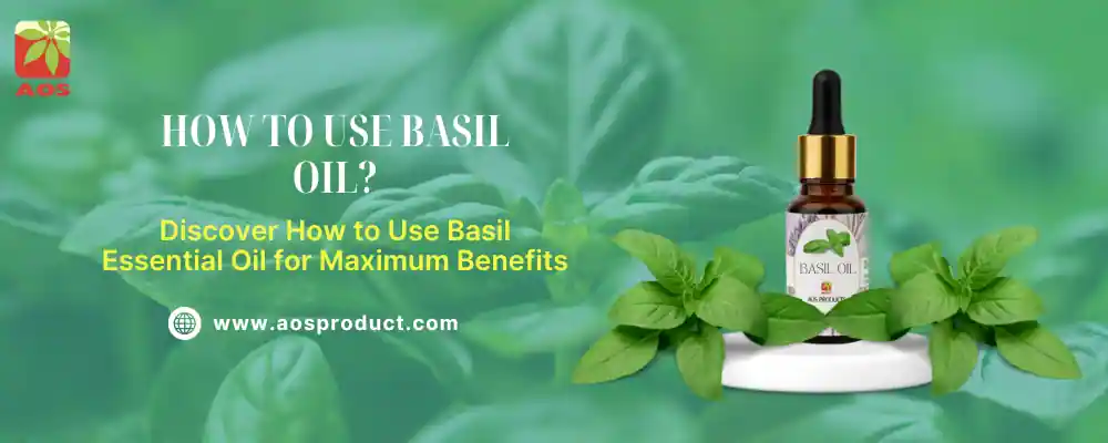 How to Use Basil Oil