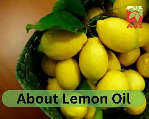 About Lemon Oil