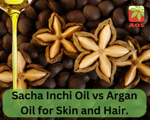 Sacha Inchi Oil vs Argan Oil for Skin and Hair