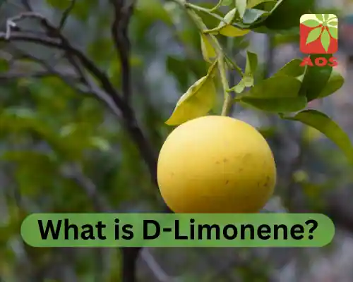 D Limonene