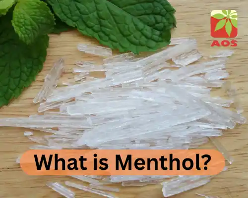 What is Menthol