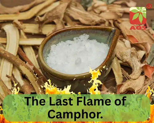 The Last Flame of Camphor
