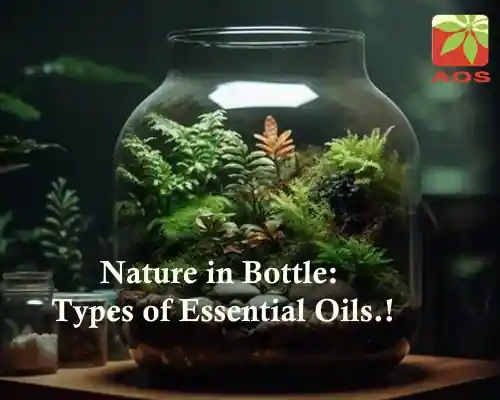 Types of Essential Oils