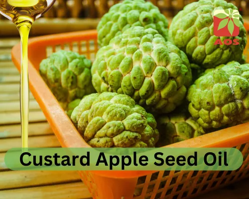 Custard Apple Seed Oil