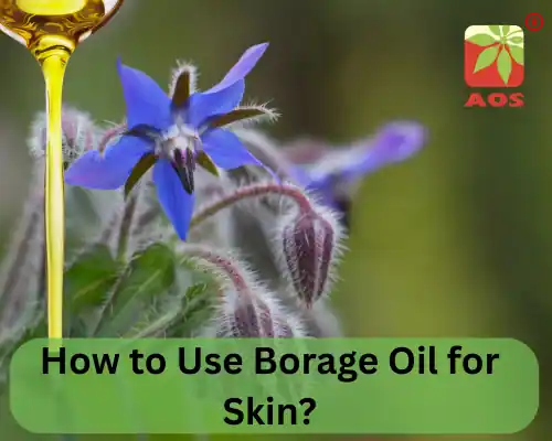 How to Use Borage Oil for Skin