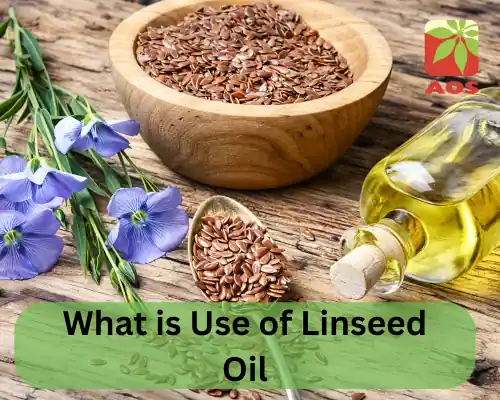 What is Use of Linseed Oil